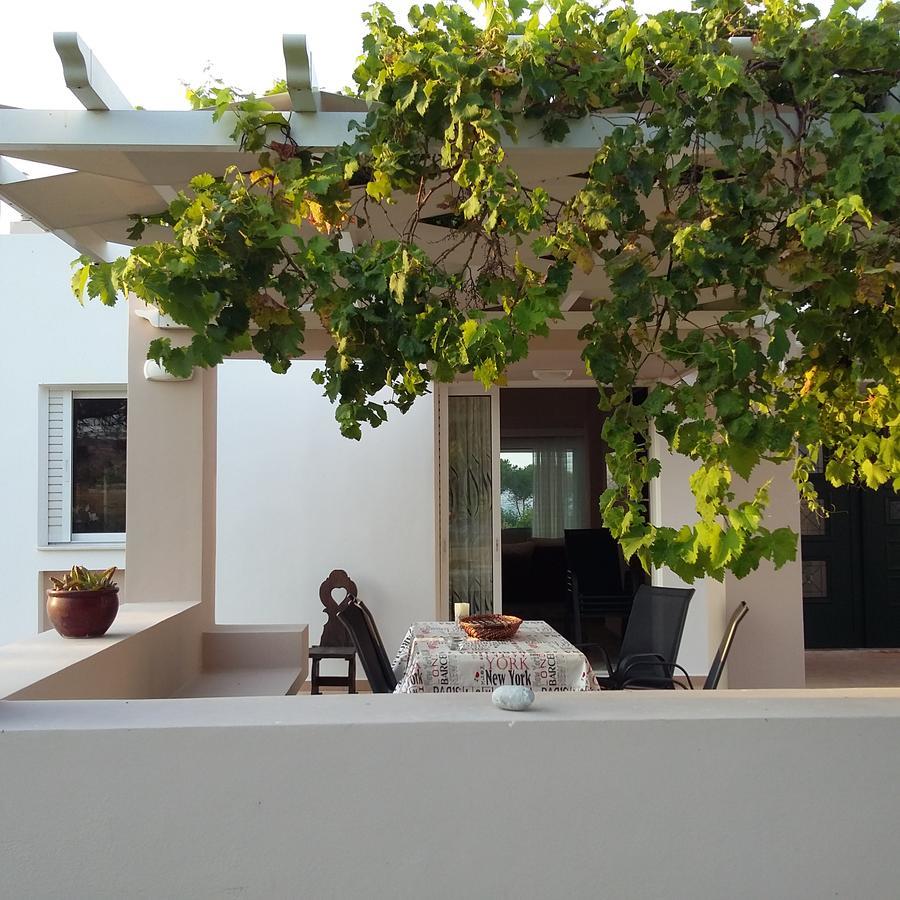 Villa Leonidas 马斯蒂查里 外观 照片