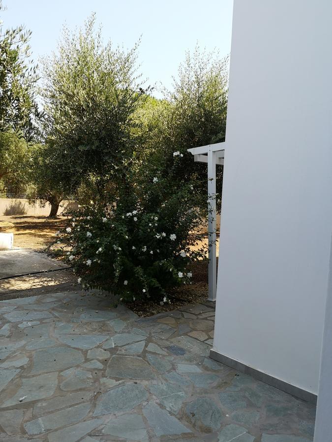 Villa Leonidas 马斯蒂查里 外观 照片